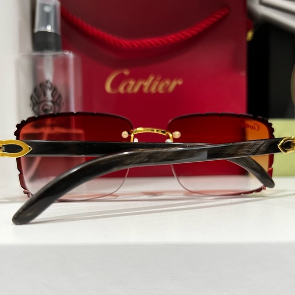 ET 3k - Cartier black buffalo horn glasses - Picture 3 of 7
